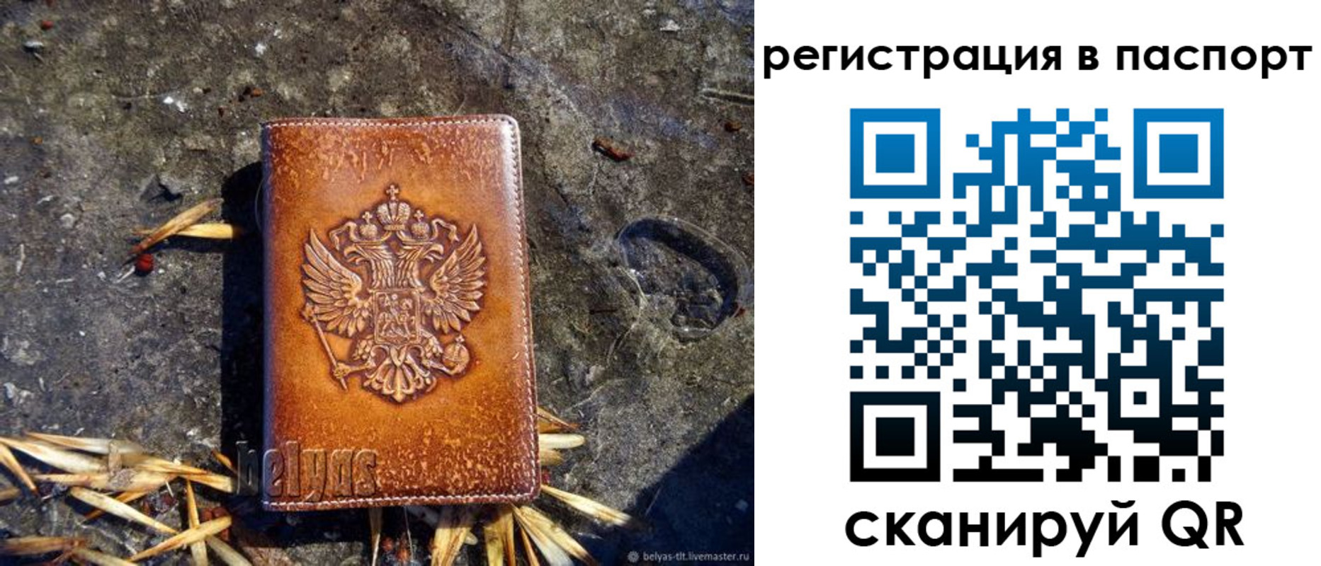 временная регистрация гарантия в Светлограде